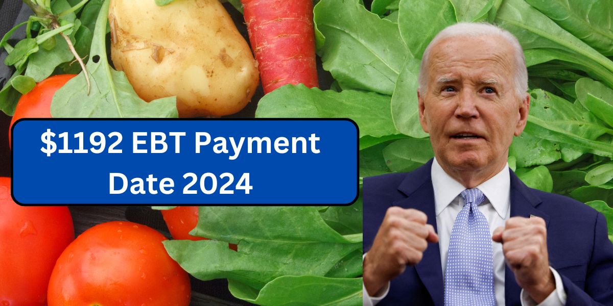 $1192 EBT Payment Date 2024: