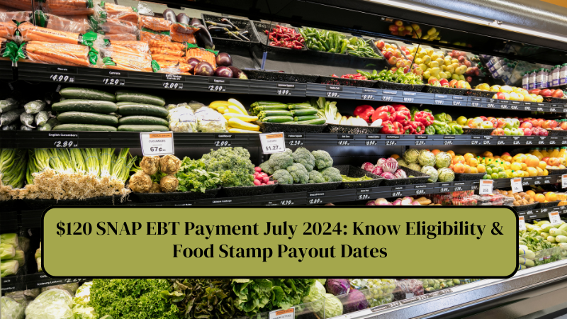 $120 SNAP EBT Payment July 2024 Know Eligibility & Food Stamp Payout Dates